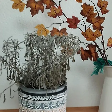 Bea City Center Tirana